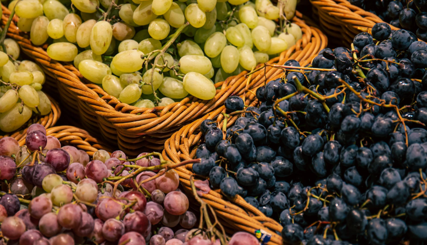 Odrůdy vína, které vás inspirují k objevování nových chutí